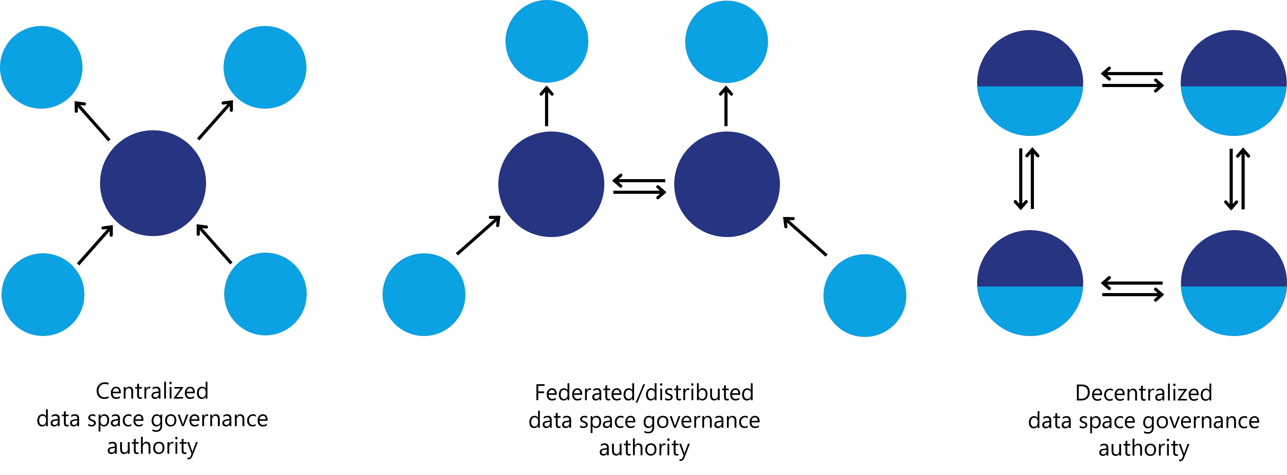 Variants for data space governance authorities